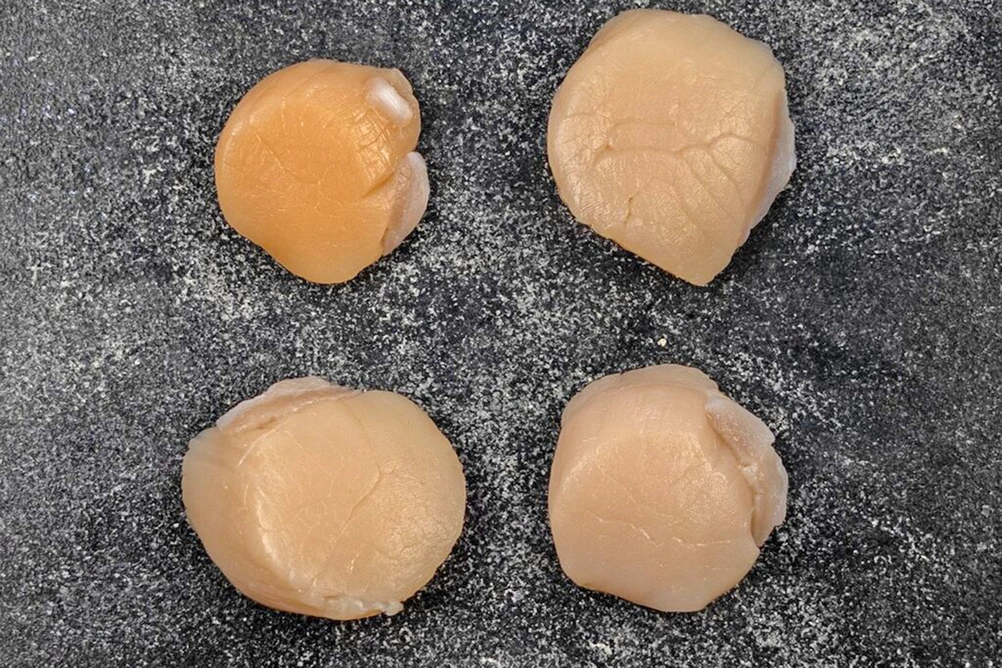 гребешок приморский 4L