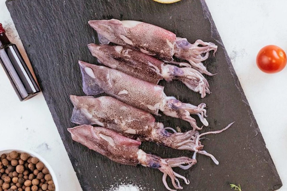 кальмар лолиго