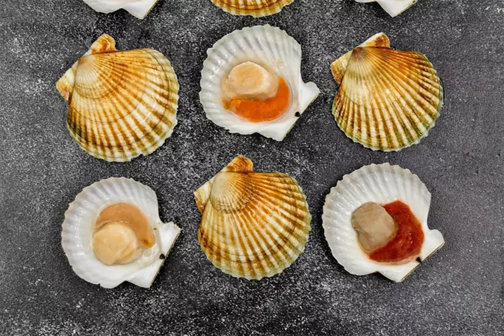 гребешок на полураковине