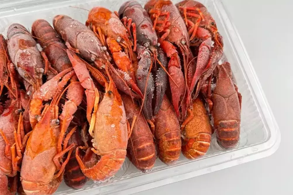 египетские раки