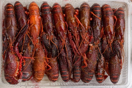 замороженные раки