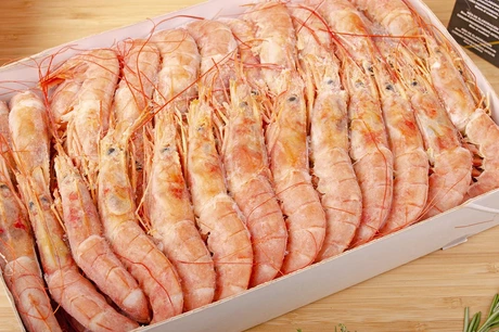 лангустины l2