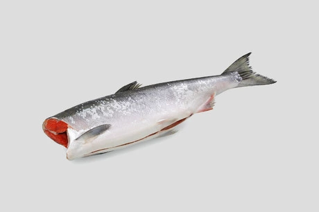 кижуч свежемороженный с камчатки