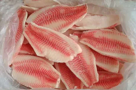 тилапия оптом