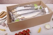 селедка слабосоленая оптом