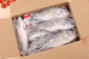 баррамунди оптом