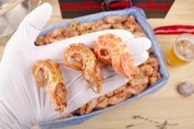 креветка медведка