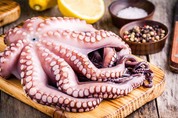 осьминог