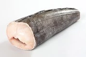 сибас чилийский