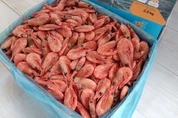 креветки 200