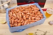 медведка оптом