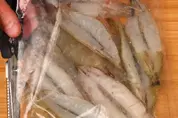 видео обзор креветка бабочка